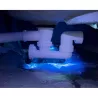UV COLOR Bleu